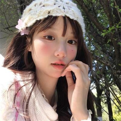马达加斯加的企鹅